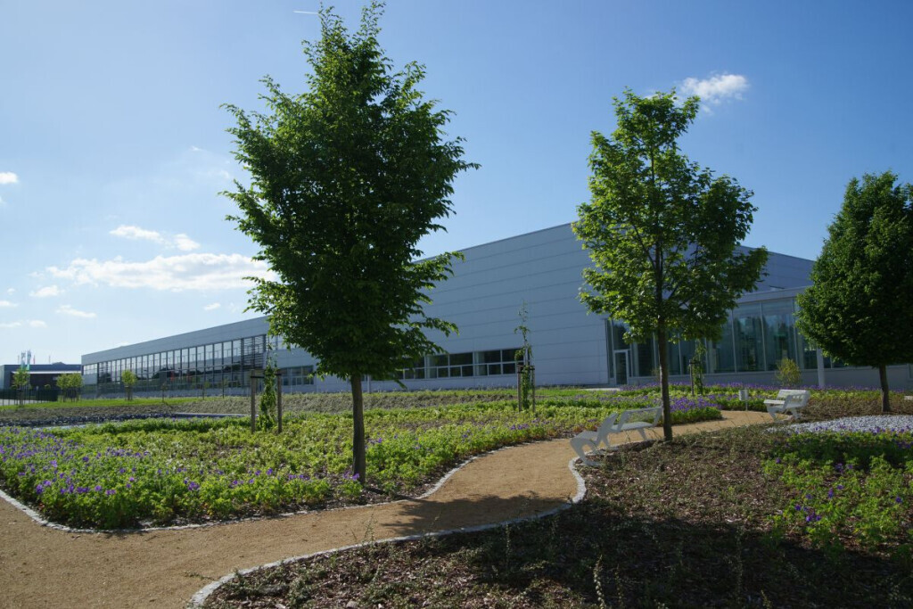 Bilder Kohout's Garten- u. Landschaftsbau GmbH