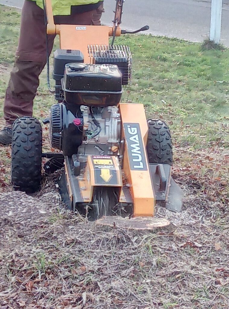 Bilder ND Gartenservice & Mehr