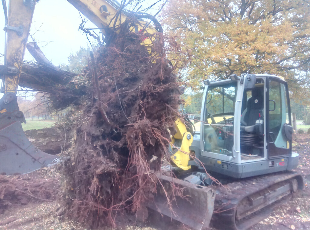 Bilder ND Gartenservice & Mehr