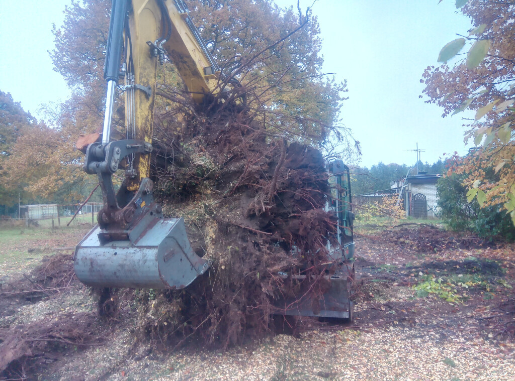 Bilder ND Gartenservice & Mehr