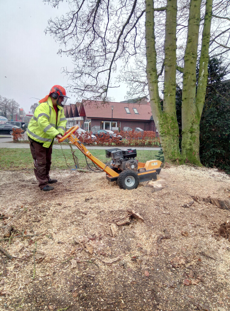 Bilder ND Gartenservice & Mehr