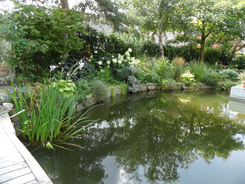 Bilder Palatinum Landschafts und Gartendesign GdbR