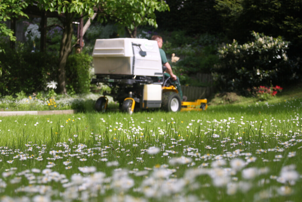 Bilder Jörg Busch Garten- und Objektpflege