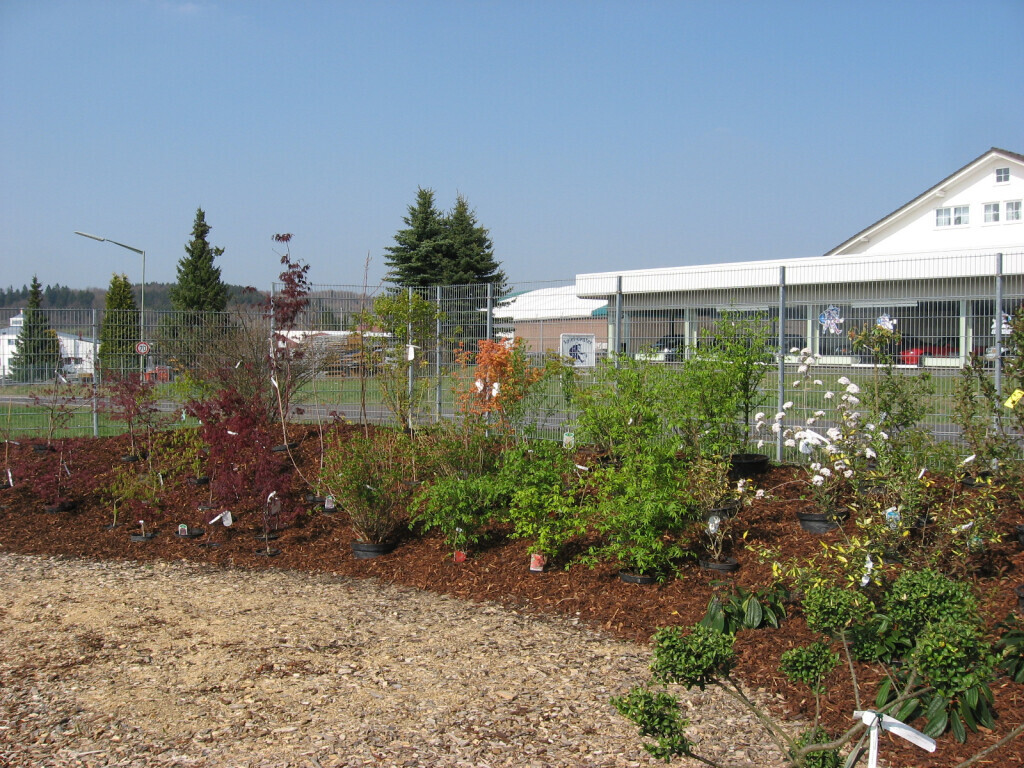 Bilder Blumen Lotz GbR