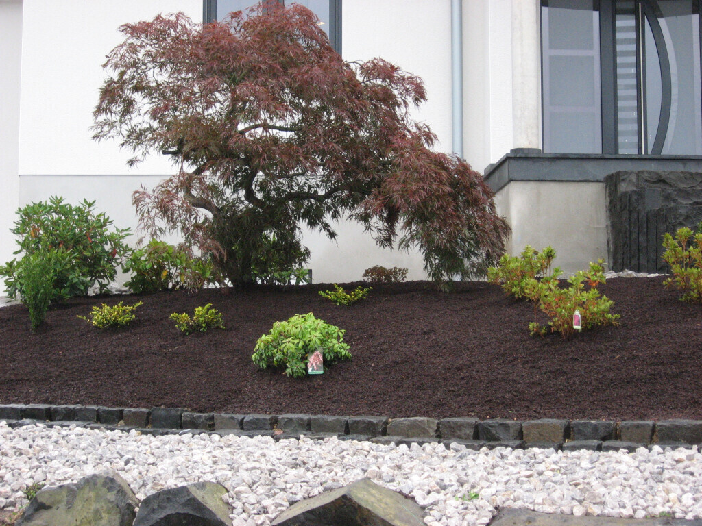 Bilder Blumen Lotz GbR