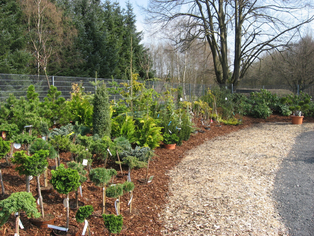 Bilder Blumen Lotz GbR