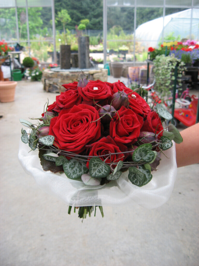 Bilder Blumen Lotz GbR