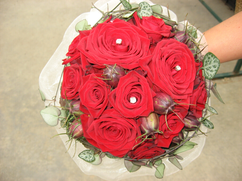 Bilder Blumen Lotz GbR