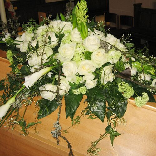 Bilder Blumen Lotz GbR