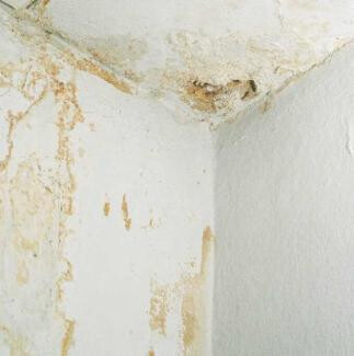 Bilder Bautrockenlegung König Mauertrockenlegung