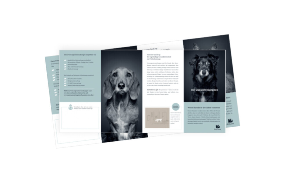 Bilder Werbeagentur concept your design