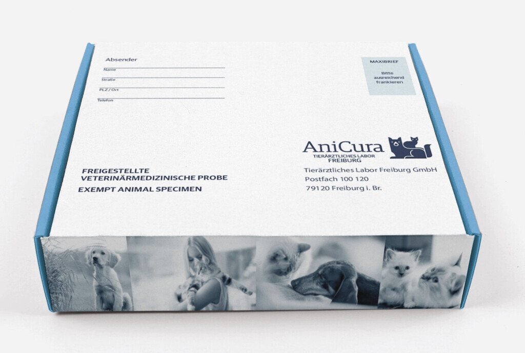 Bilder Werbeagentur concept your design