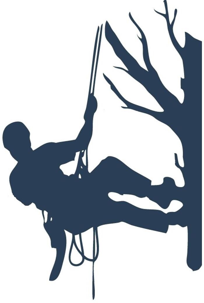 Baumpflege-Markgräflerland Logo