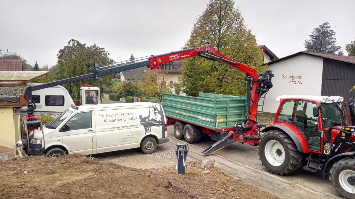 Bilder Baumpflege-Markgräflerland