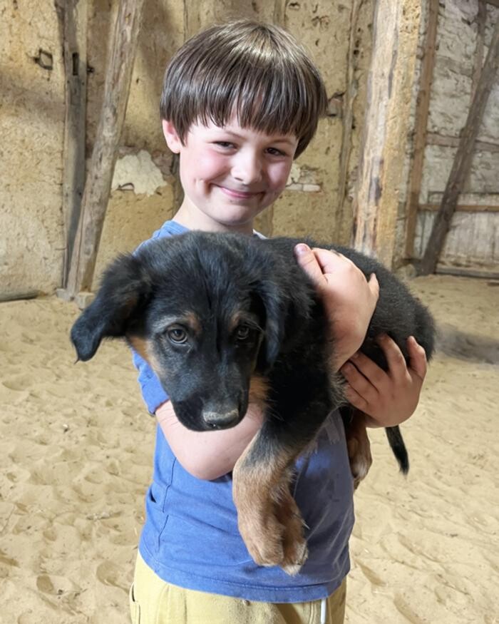 Bilder Hundeschule Simsammlerbim