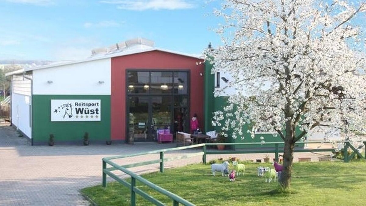 Bilder Reitsport Wüst