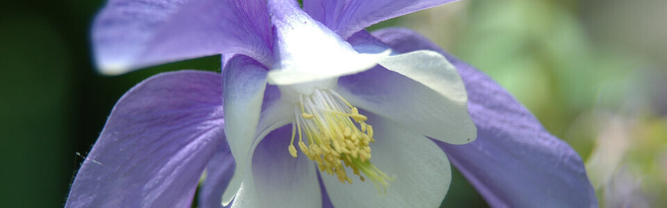 Bilder PRAXIS FÜR GEISTIGES HEILEN