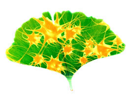 Praxis für Mind-Body-Medizin & Neurofeedback Sabrina Germann Logo