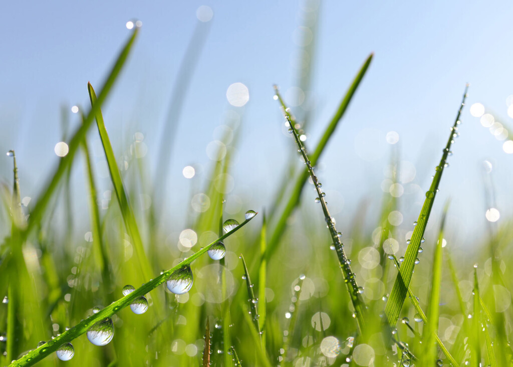 Bilder Praxis für Mind-Body-Medizin & Neurofeedback Sabrina Germann