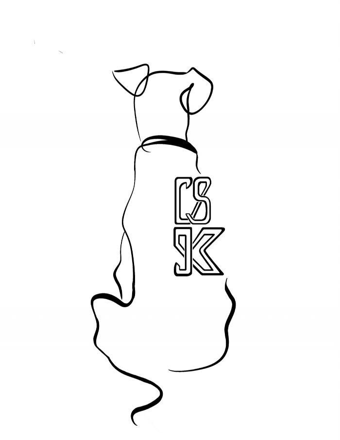 Bilder CS - K9 Hundezentrum