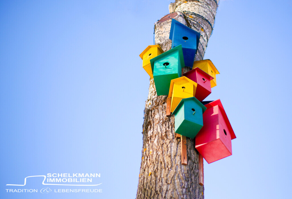 Bilder Schelkmann Immobilien