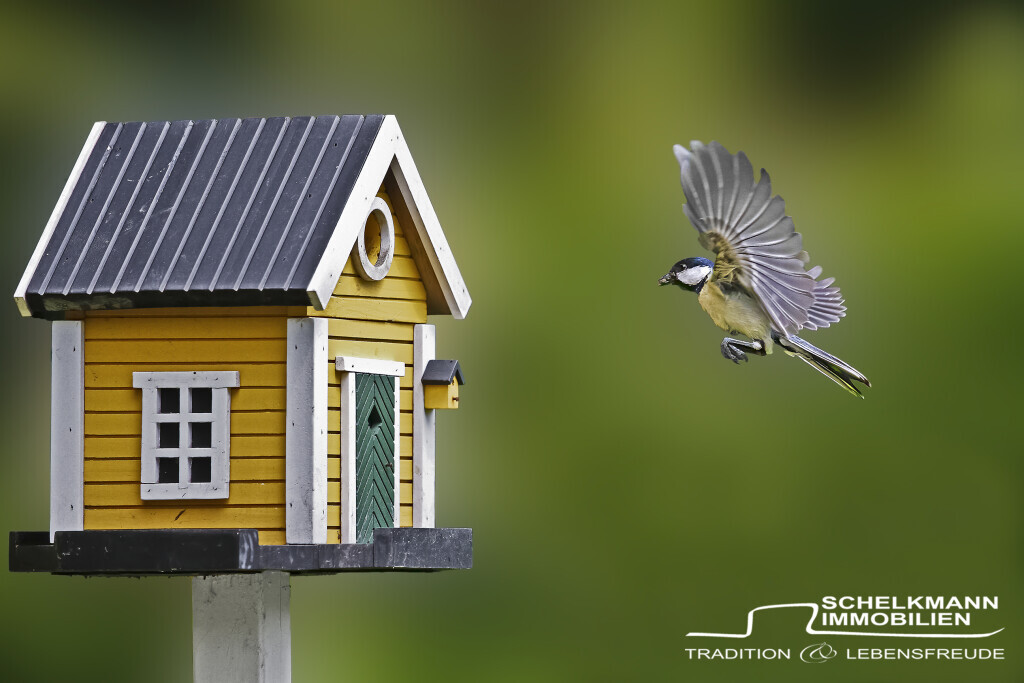 Bilder Schelkmann Immobilien