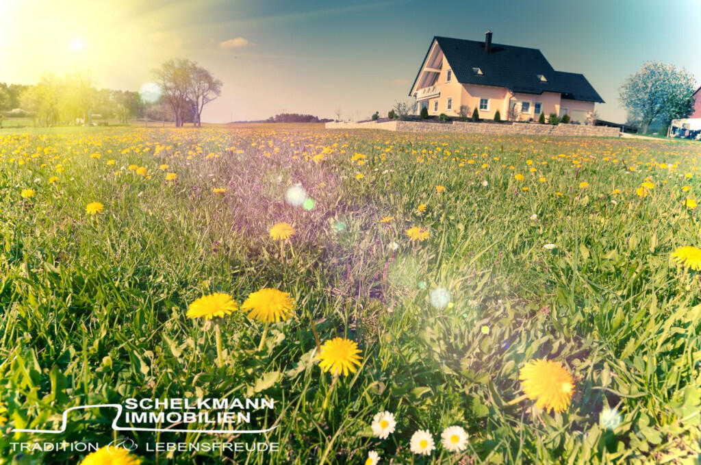 Bilder Schelkmann Immobilien