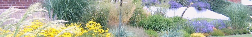 Bilder Wittinger Pflanzenhof & Fricke Garten- und Landschaftsbau GmbH & Co. KG, Heiko Fricke