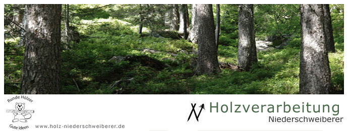 Alfons Niederschweiberer Logo