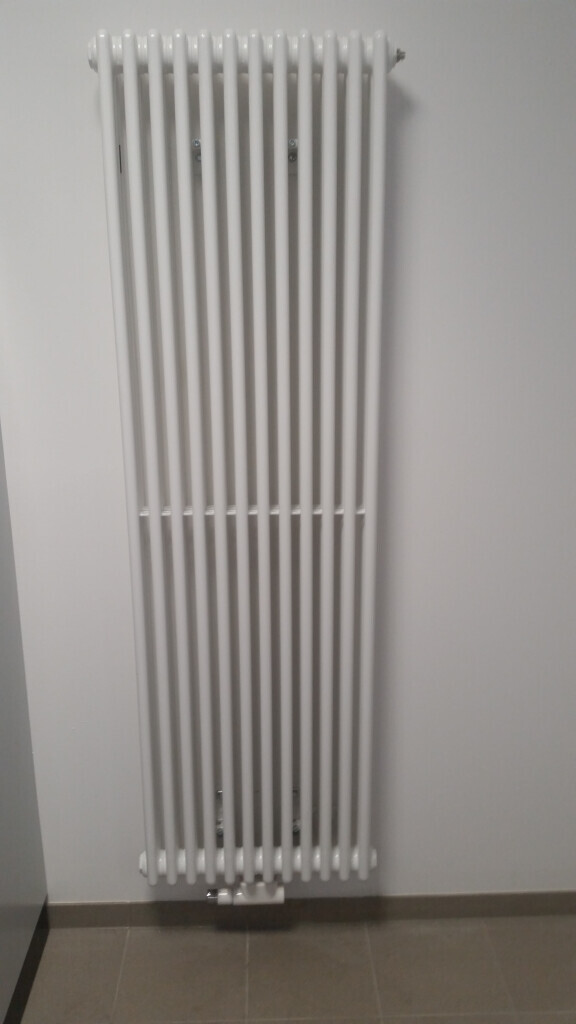 Bilder Rene Lindner GmbH