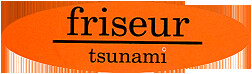 Tsunami Logo