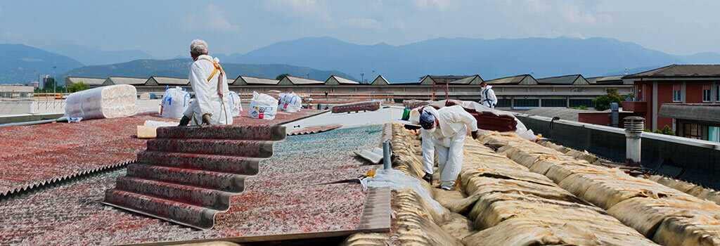 Bilder Lutz Schadstoffsanierung