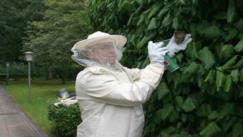 Bilder Ökokil GmbH - Öko Schädlingsbekämpfung