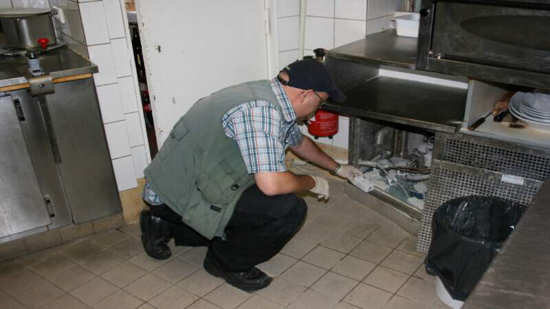 Bilder Ökokil GmbH - Öko Schädlingsbekämpfung