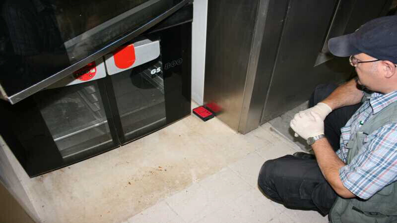 Bilder Ökokil GmbH - Öko Schädlingsbekämpfung