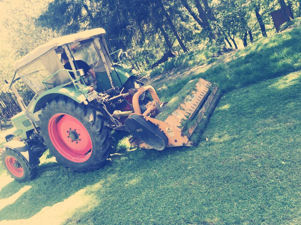 Bilder Randewig Garten- & Landschaftsbau