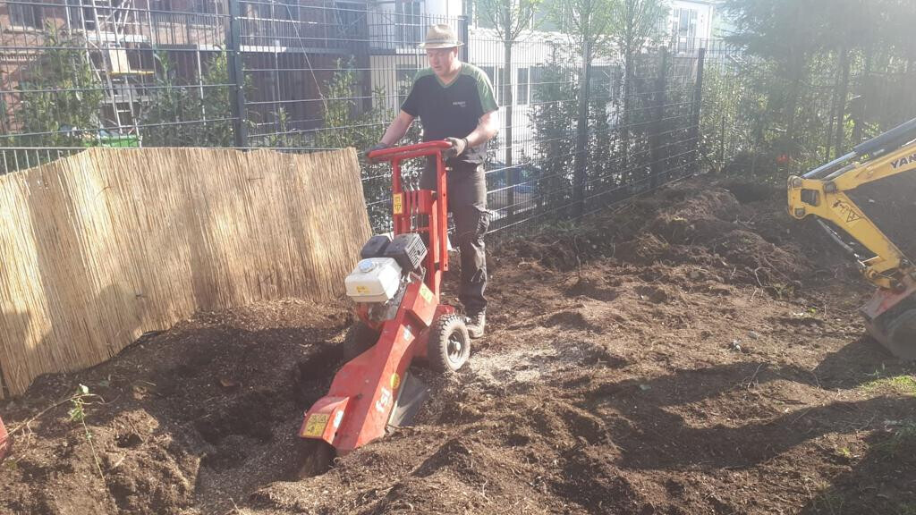 Bilder Randewig Garten- & Landschaftsbau