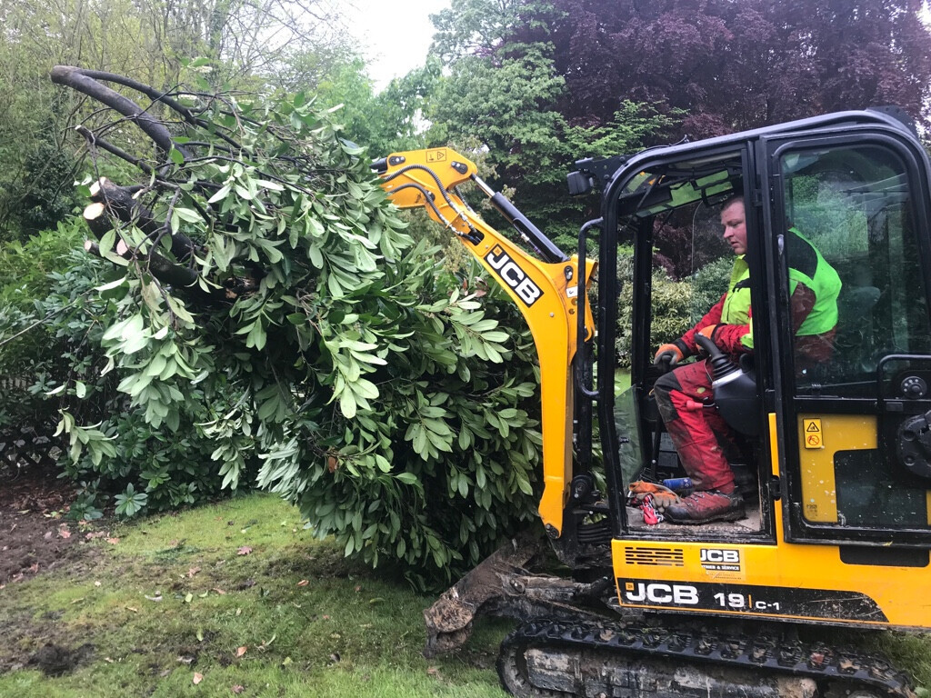 Bilder Randewig Garten- & Landschaftsbau