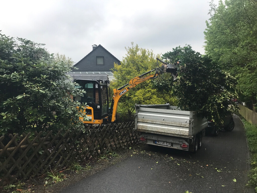 Bilder Randewig Garten- & Landschaftsbau