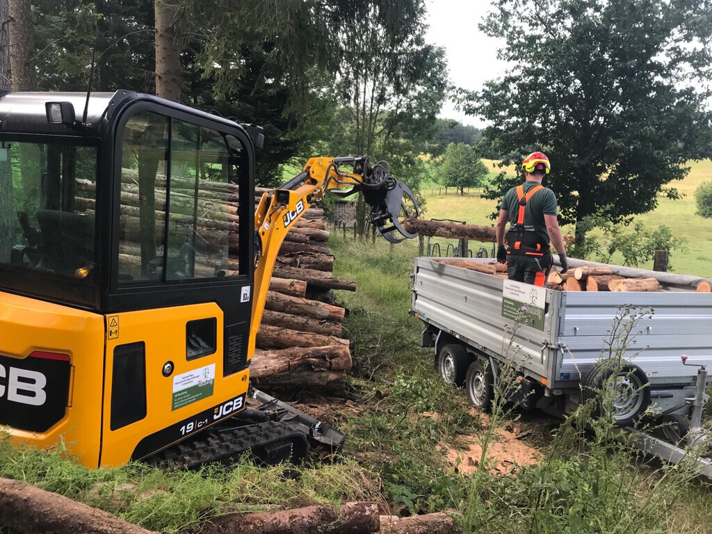 Bilder Randewig Garten- & Landschaftsbau