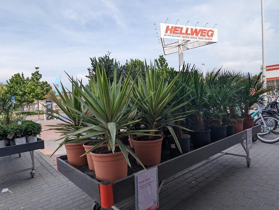 Bilder HELLWEG - Die Profi-Baumärkte Berlin