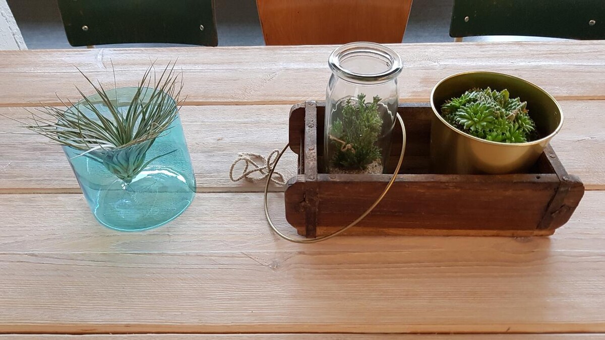 Bilder Trend Lab + Loft