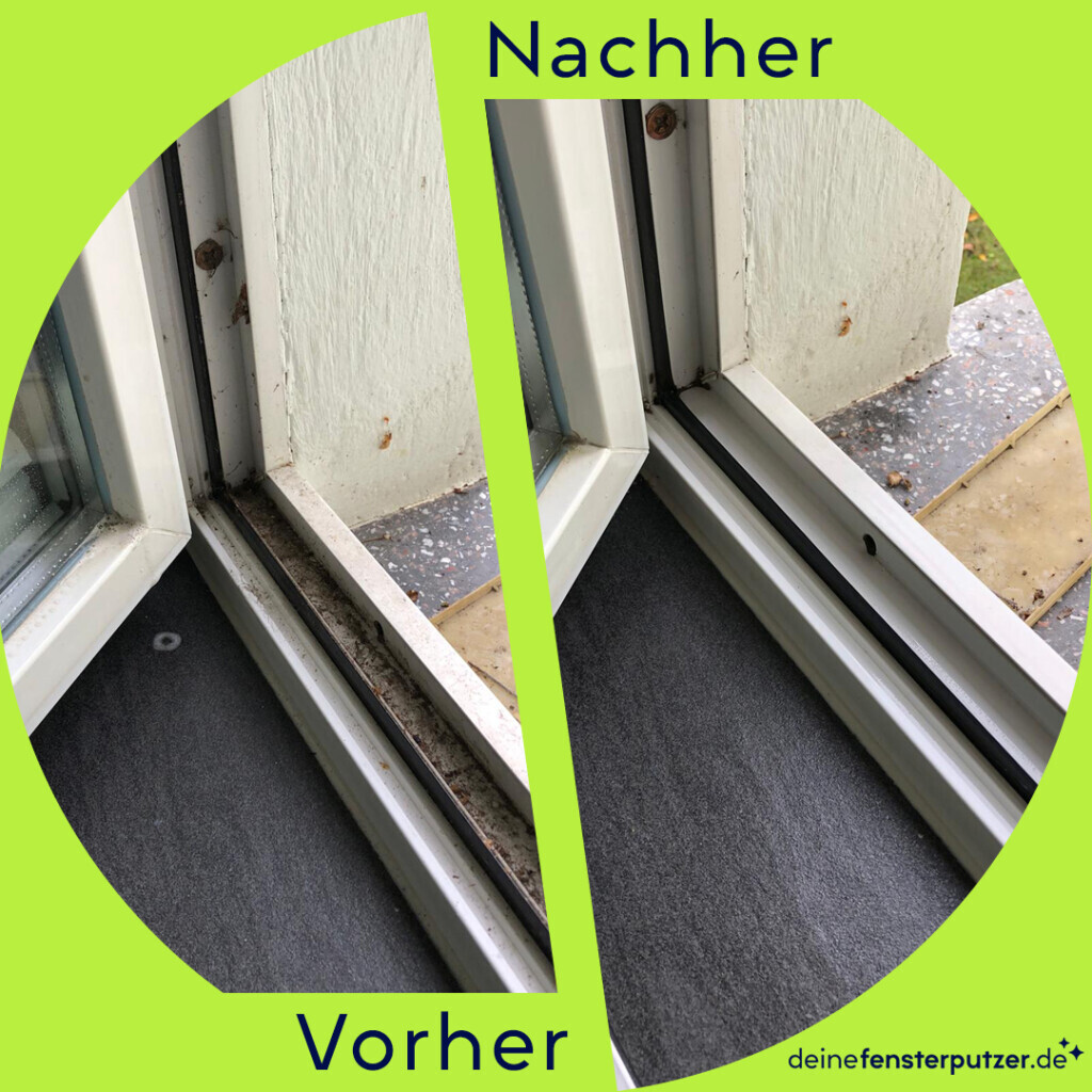 Bilder deinefensterputzer.de
