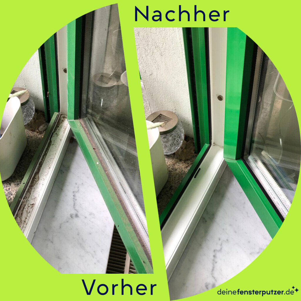 Bilder deinefensterputzer.de