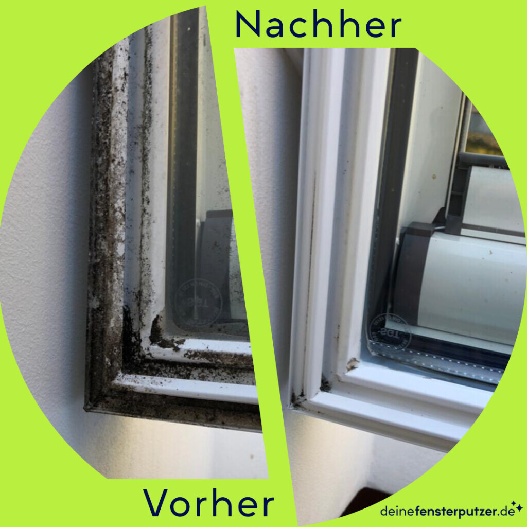Bilder deinefensterputzer.de