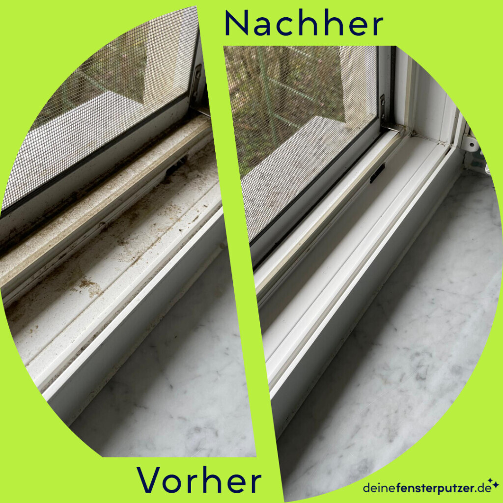 Bilder deinefensterputzer.de