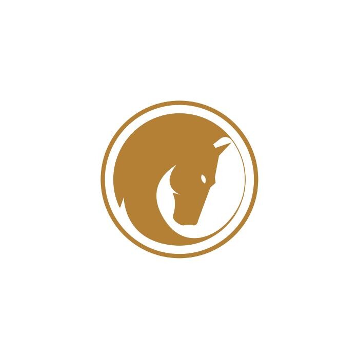 Equinus Sanitas Logo