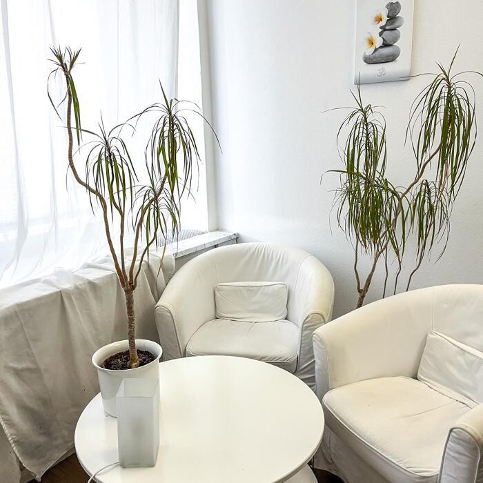 Bilder IBB Institut für Berufliche Bildung AG