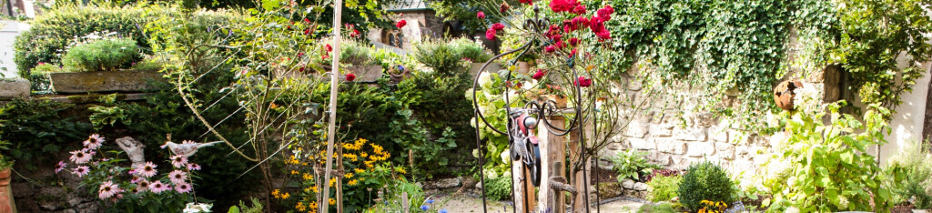 Bilder Sandfort Garten- und Landschaftsbau