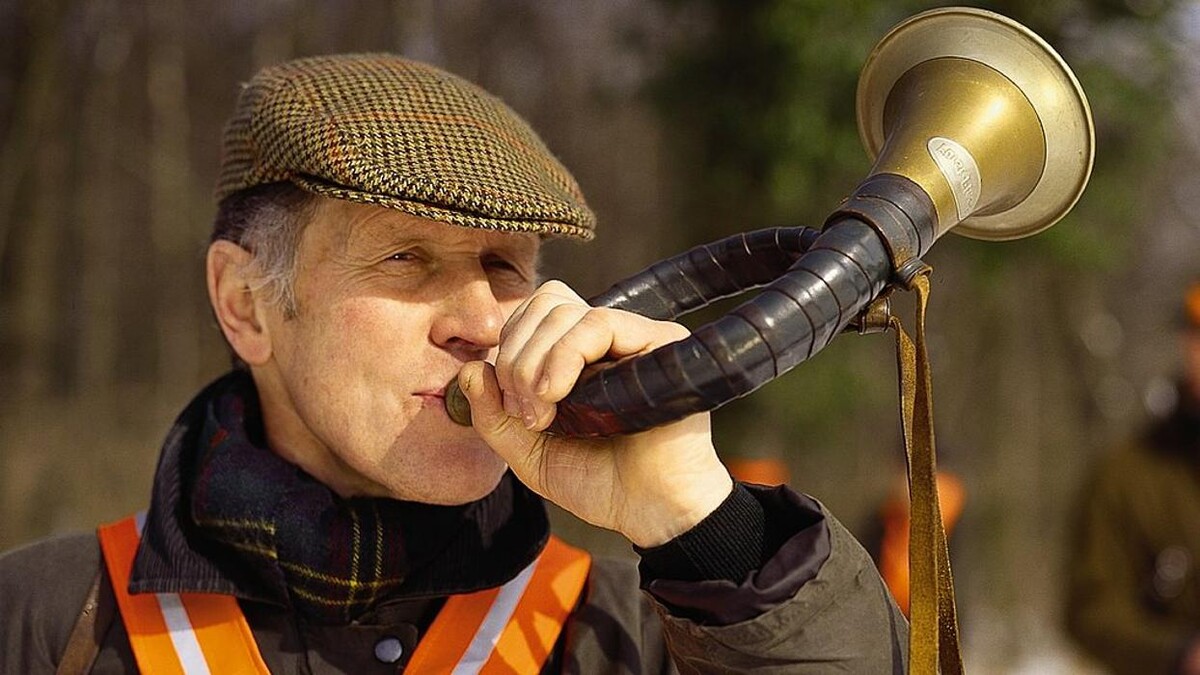 Bilder LVM Versicherung Zimmermann & Uebe - Versicherungsagentur